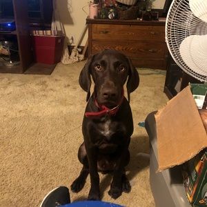 Meet your Posher, Glenn